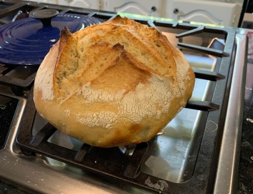 Sourdough – because why not?!